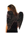 Ailes d'ange noires