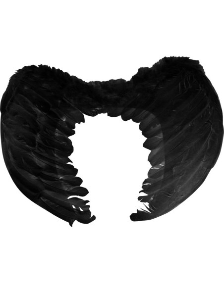 Ailes avec plumes