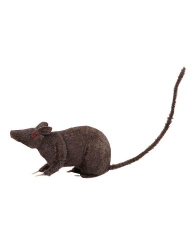 Rat gris