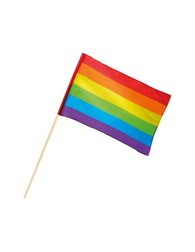 Drapeau arc-en-ciel avec manche