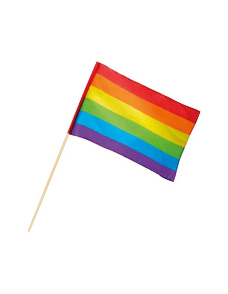Drapeau arc-en-ciel avec manche