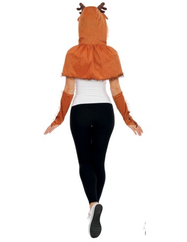 Set accessoires renne