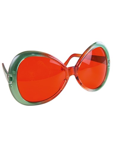 Lunettes mouche bicolore