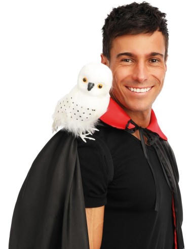 Chouette blanche de sorcier