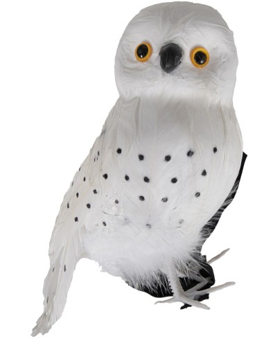 Chouette blanche de sorcier