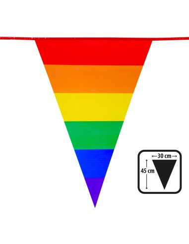 Guirlande fanions arc-en-ciel 8m