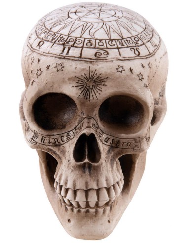 Crane de squelette décoré