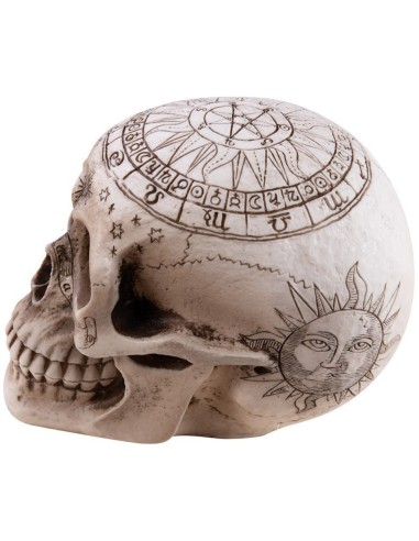 Crane de squelette décoré