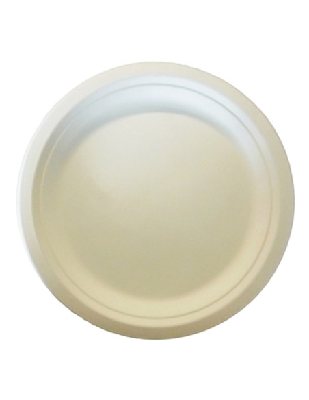 6 assiettes moyennes blanches rondes