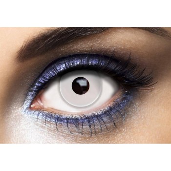 Lentilles blanches