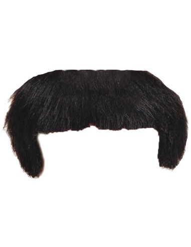 Moustache années 1900