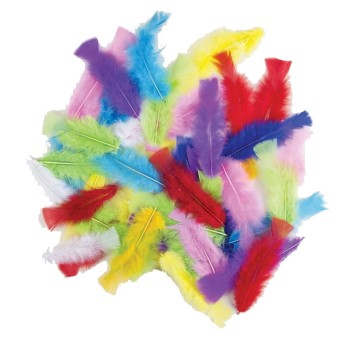50 plumes couleurs assorties