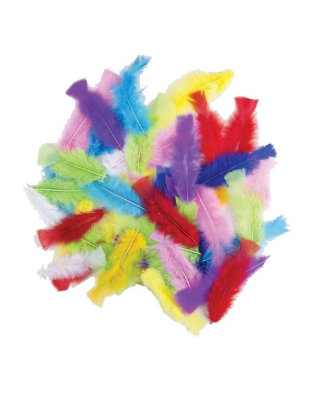 50 plumes couleurs assorties