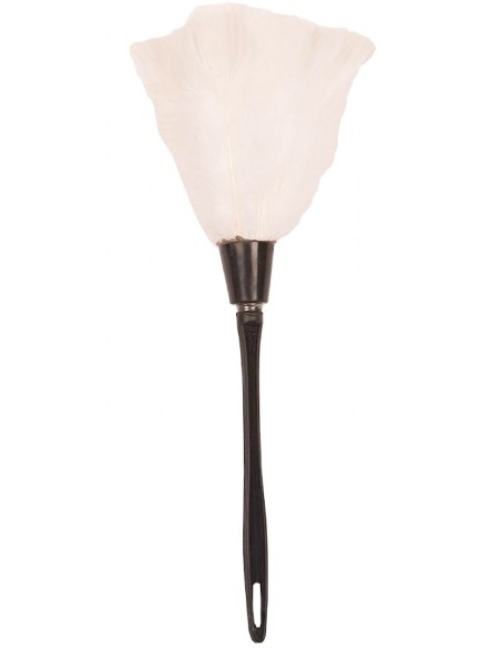 Plumeau plumes banches