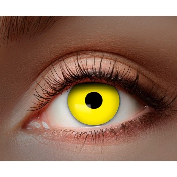 Lentilles jaunes