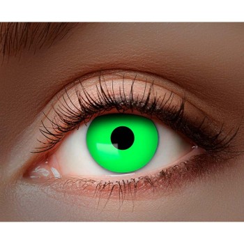 Lentilles vertes