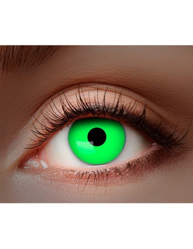 Lentilles vertes
