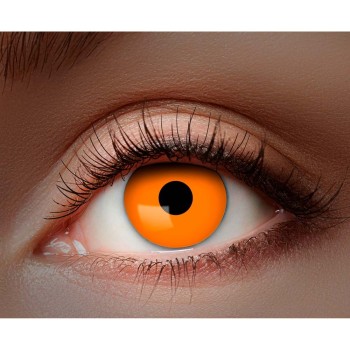 Lentilles oranges
