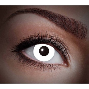 Lentilles blanches