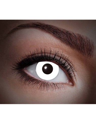 Lentilles blanches