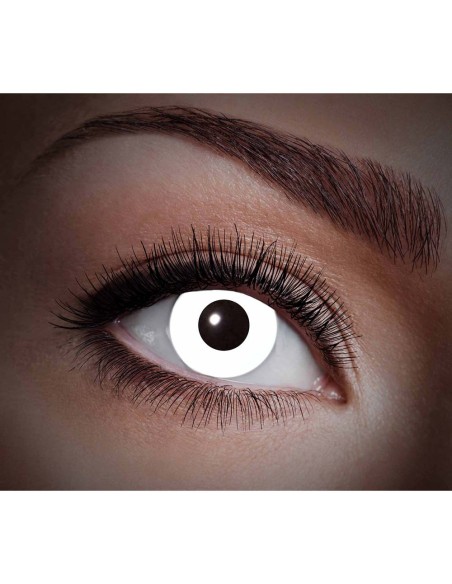 Lentilles blanches