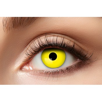 Lentilles corbeau jaune