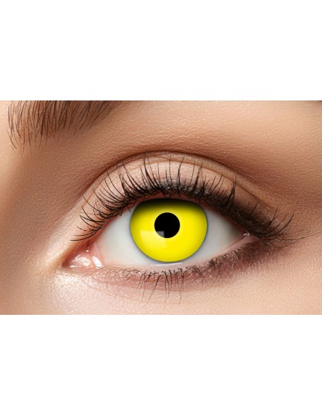 Lentilles corbeau jaune