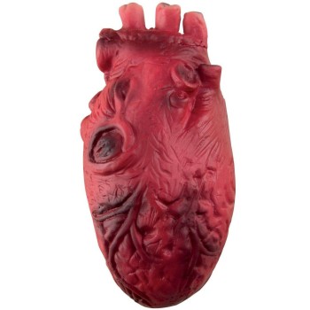 Faux coeur sanglant