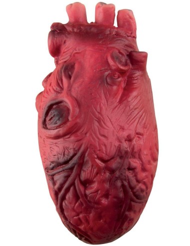 Faux coeur sanglant