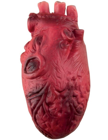 Faux coeur sanglant
