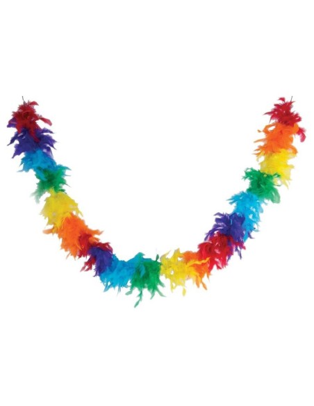 Boa plumes multicolore