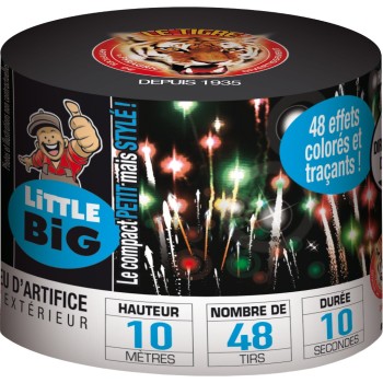 Artifice Little Big Charlie