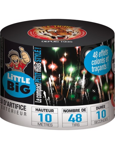 Artifice Little Big Charlie