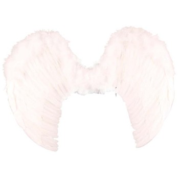 Ailes d'ange blanches