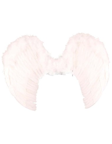 Ailes d'ange blanches