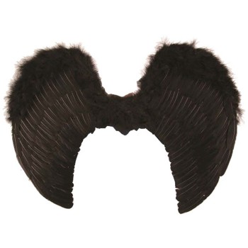 Ailes d'ange noires