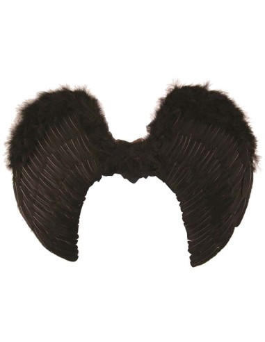 Ailes d'ange noires