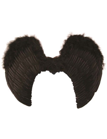 Ailes d'ange noires