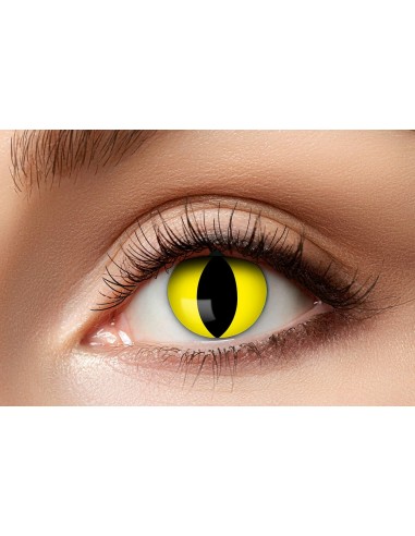 Lentilles chat jaune