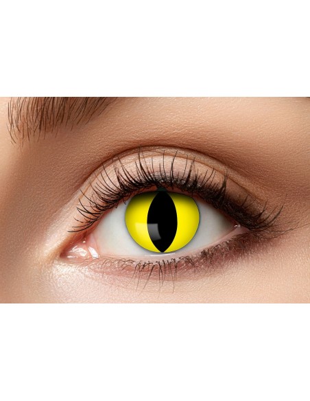 Lentilles chat jaune