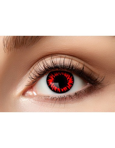 Lentilles red wolf