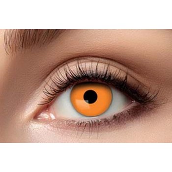 Lentilles Halloween orange