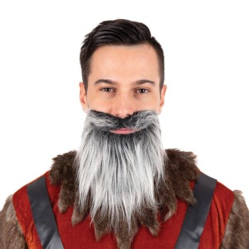 Moustache et barbe raide grise
