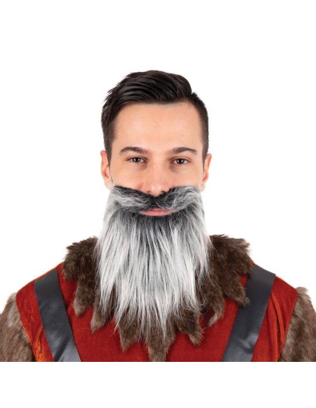 Moustache et barbe raide grise