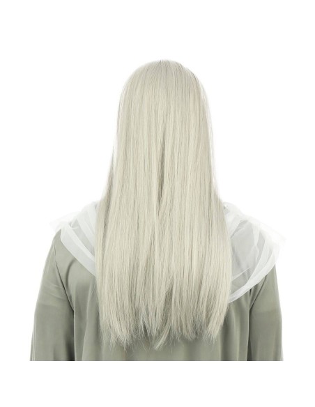 Perruque et barbe mage grise