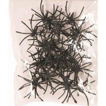 20 petites araignées noires