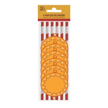 6 pailles décorées bohème