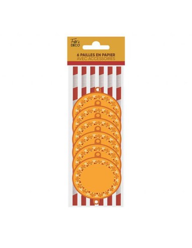 6 pailles décorées bohème