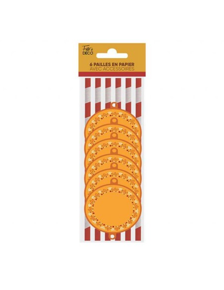 6 pailles décorées bohème