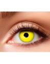 Lentilles yeux de corbeau jaune à Lille